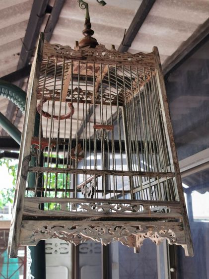 กรงนกแกะลายฉลุ เก่าเก็บเดิมๆ ของใหม่ สภาพดี ไม่ค่อยใช้หายาก พร้อมส่งครับ รูปที่ 4