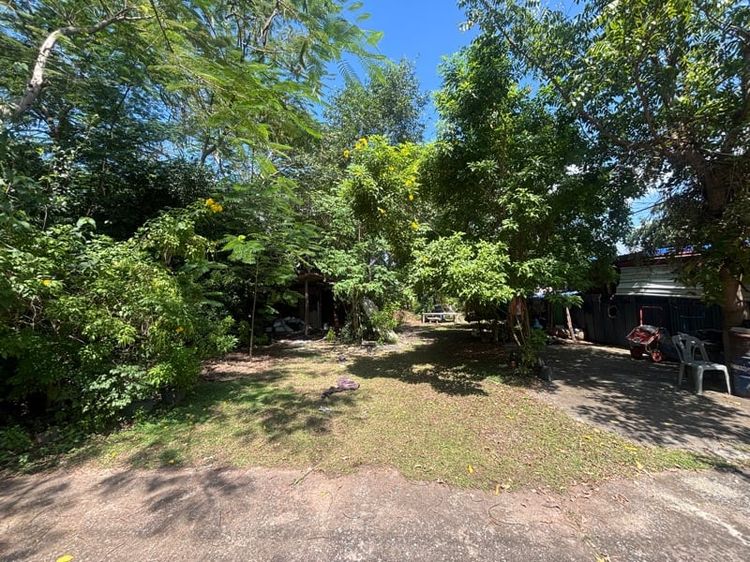 ขายที่ดิน 90 ตร.ว ทับกวาง 