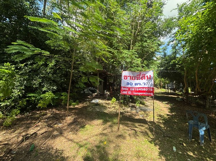 ขายที่ดิน 90 ตร.ว ทับกวาง  รูปที่ 3