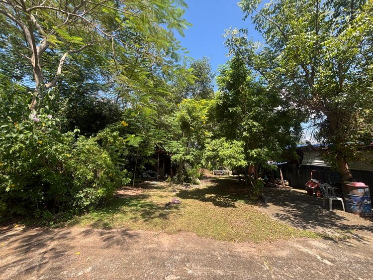 ขายที่ดิน 90 ตร.ว ทับกวาง  รูปที่ 2