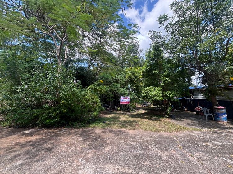ขายที่ดิน 90 ตร.ว ทับกวาง  รูปที่ 4