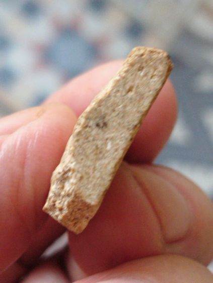 พระผงพระพุทธชินราชหลวงพ่อจาดวัดโพธิ์บางคล้า รูปที่ 5