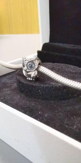สร้อยข้อมือ PANDORA รูปที่ 9