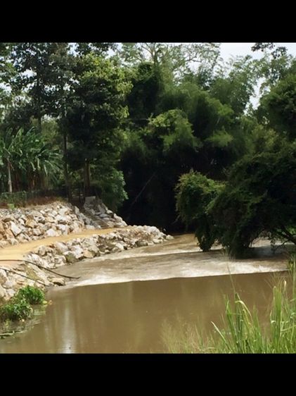 ไม่ใช่ ที่ดินในเมืองริมน้ำ ลำตะคอง (ปากช่อง-เขาใหญ่) 30 ไร่ 3 งาน 8 ตรวา รูปที่ 4