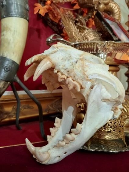 สิ่งมงคลเสริมอำนาจบารมีเป็นที่น่าเกรงขาม รูปที่ 13