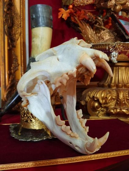 สิ่งมงคลเสริมอำนาจบารมีเป็นที่น่าเกรงขาม รูปที่ 12