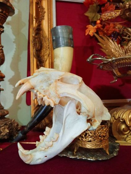 สิ่งมงคลเสริมอำนาจบารมีเป็นที่น่าเกรงขาม รูปที่ 15