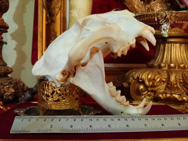 สิ่งมงคลเสริมอำนาจบารมีเป็นที่น่าเกรงขาม รูปที่ 11