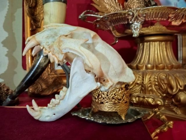 สิ่งมงคลเสริมอำนาจบารมีเป็นที่น่าเกรงขาม