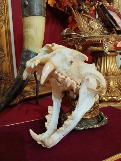 สิ่งมงคลเสริมอำนาจบารมีเป็นที่น่าเกรงขาม รูปที่ 8