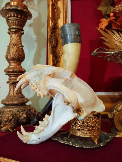 สิ่งมงคลเสริมอำนาจบารมีเป็นที่น่าเกรงขาม รูปที่ 14