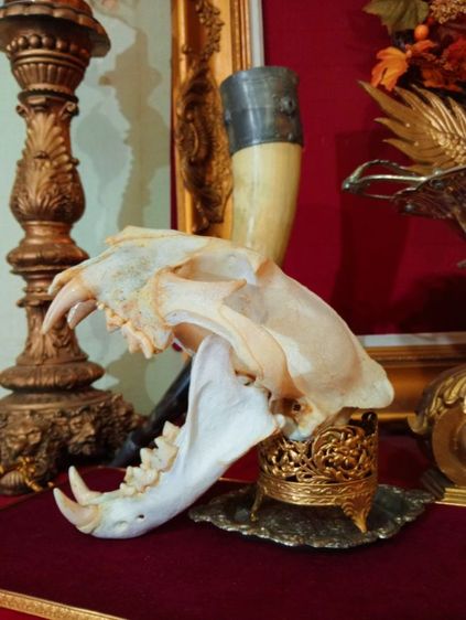 สิ่งมงคลเสริมอำนาจบารมีเป็นที่น่าเกรงขาม รูปที่ 10