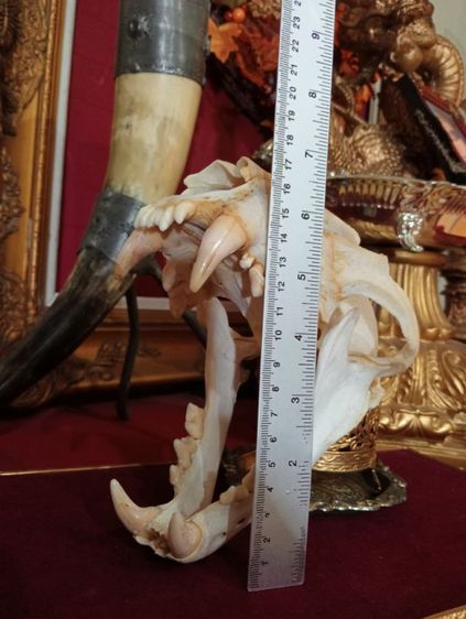 สิ่งมงคลเสริมอำนาจบารมีเป็นที่น่าเกรงขาม รูปที่ 2