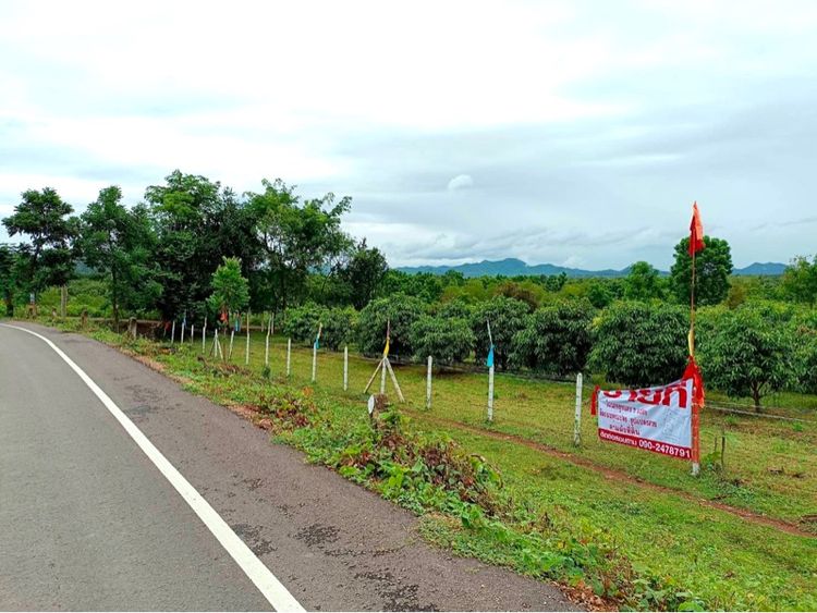 ลดราคา ขายด่วน ที่ดินสวยโฉนด 1 ไร่ 2 งาน 44 ตร. วา แปลงสวย   รูปที่ 4