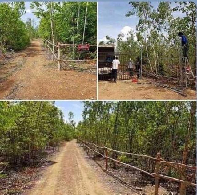 ขายที่ดินแก่งกระจาน รูปที่ 4