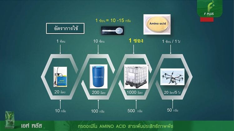 F-Plusไม่ใช่ปุ๋ย อาหารเสริมเพื่อสุขภาพพืช 2 นวัตกรรม สารเพิ่มประสิทธิภาพ อาหารพืชอะมิโนแอซิด Amino Acid รูปที่ 5
