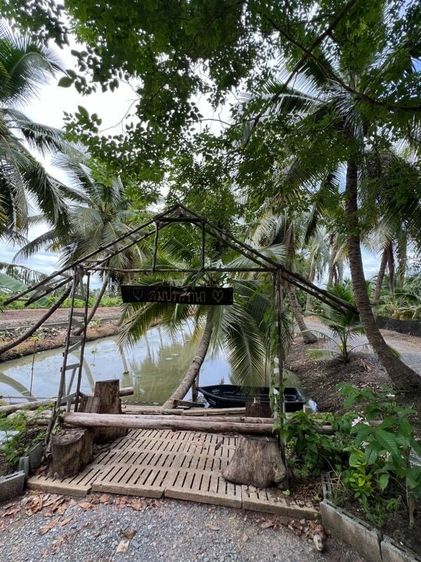 ขายบ้านสวนมะพร้าวน้ำหอมสามพราน รูปที่ 4