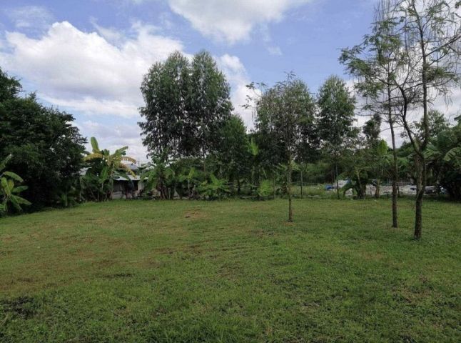 ขายที่ถมแล้ว รูปที่ 3