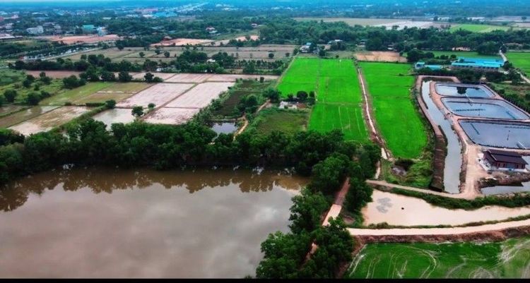 ขายที่ด่วน รูปที่ 2