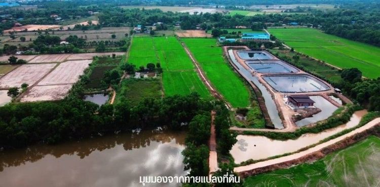 ขายที่ด่วน รูปที่ 4