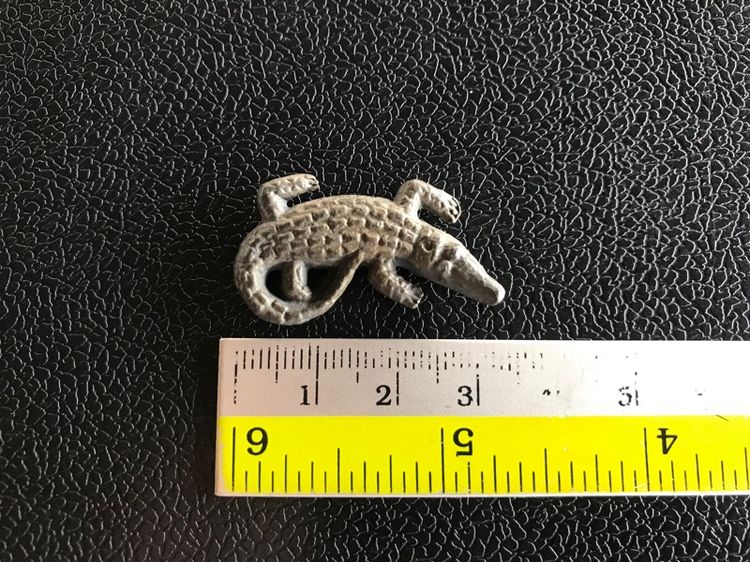 จระเข้พ่อสนิท รูปที่ 9