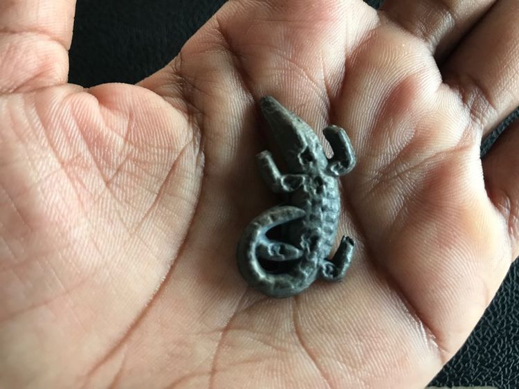 จระเข้พ่อสนิท รูปที่ 8