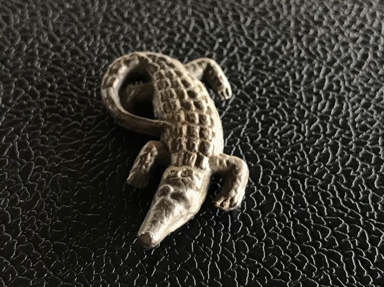 จระเข้พ่อสนิท รูปที่ 17