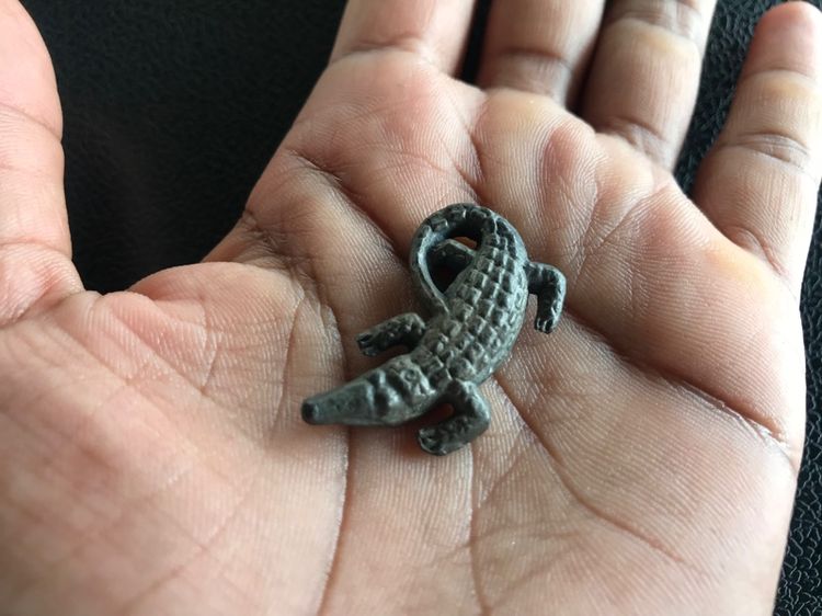 จระเข้พ่อสนิท รูปที่ 7