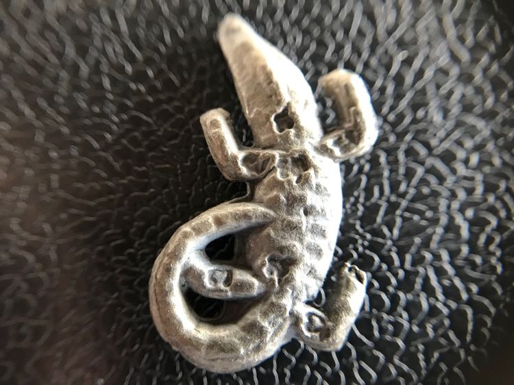 จระเข้พ่อสนิท รูปที่ 12