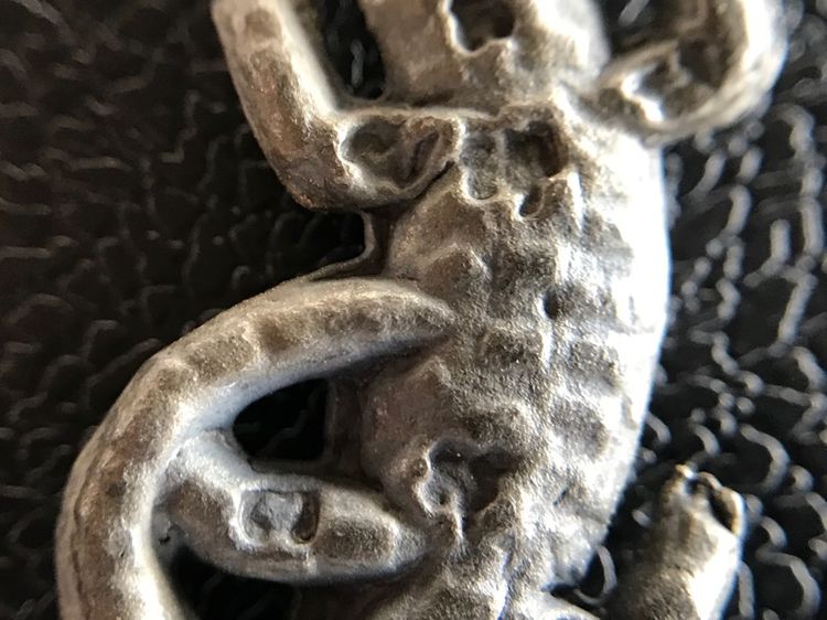 จระเข้พ่อสนิท รูปที่ 13