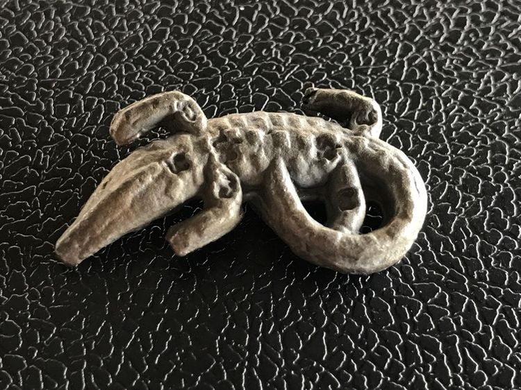 จระเข้พ่อสนิท รูปที่ 18