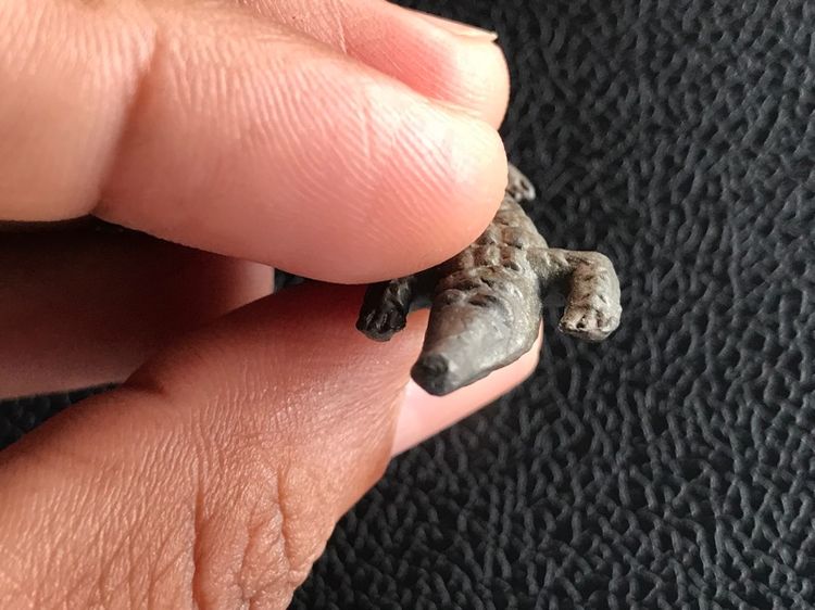 จระเข้พ่อสนิท รูปที่ 3