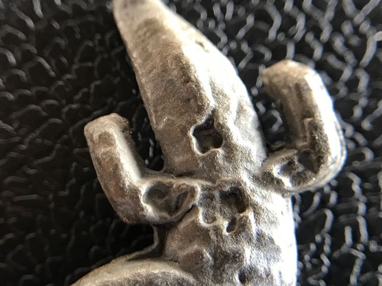 จระเข้พ่อสนิท รูปที่ 14