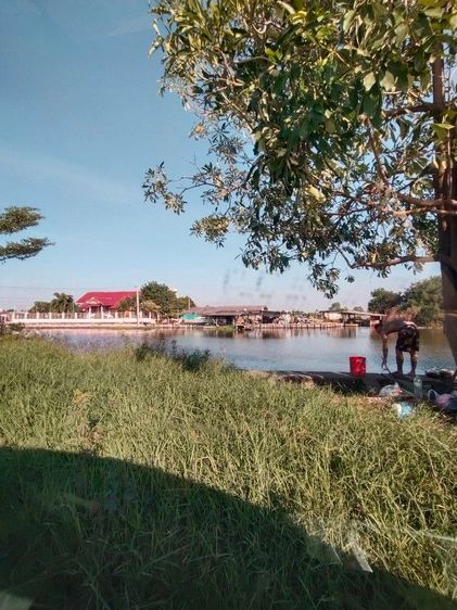 ขายที่ดิน 12 ไร่ ไร่ละ 3 ล้าน อำเภอ บางพลี จ.สมุทรปราการ รูปที่ 3