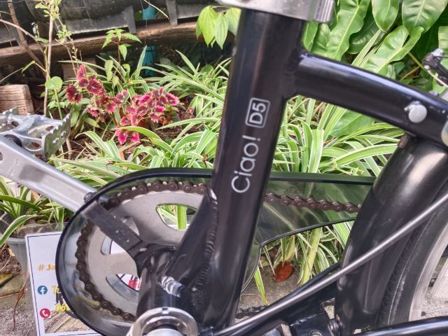 DAHON Ciao D5
 รูปที่ 4