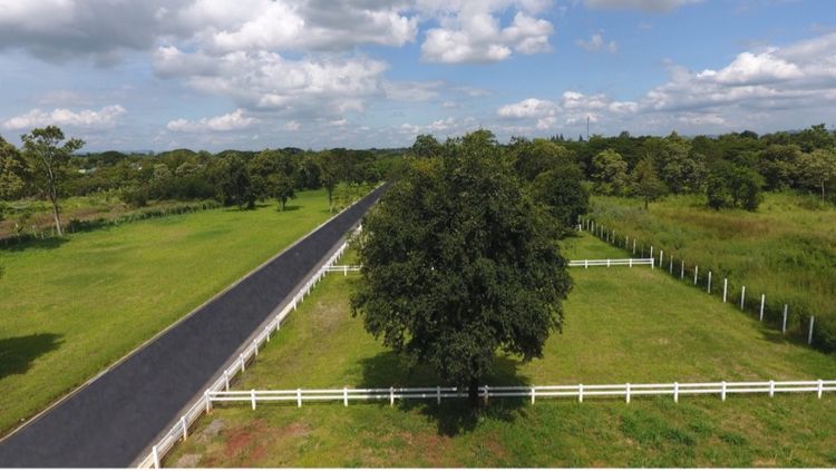 ไม่ใช่ แบ่งแปลงขาย ที่ดินริมน้ำ ลำตะคอง ปากช่อง-เขาใหญ่ รูปที่ 4