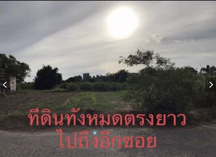ขายที่ดินแหลมฉบัง 4 ไร่  รูปที่ 4