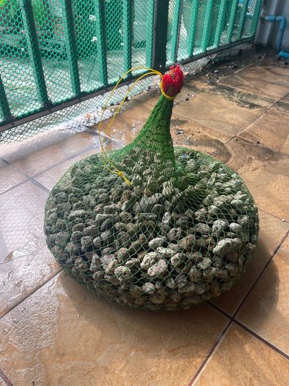 ตู้ปลา 30” 36” ถังกรองและวัสดุกรอง รูปที่ 8