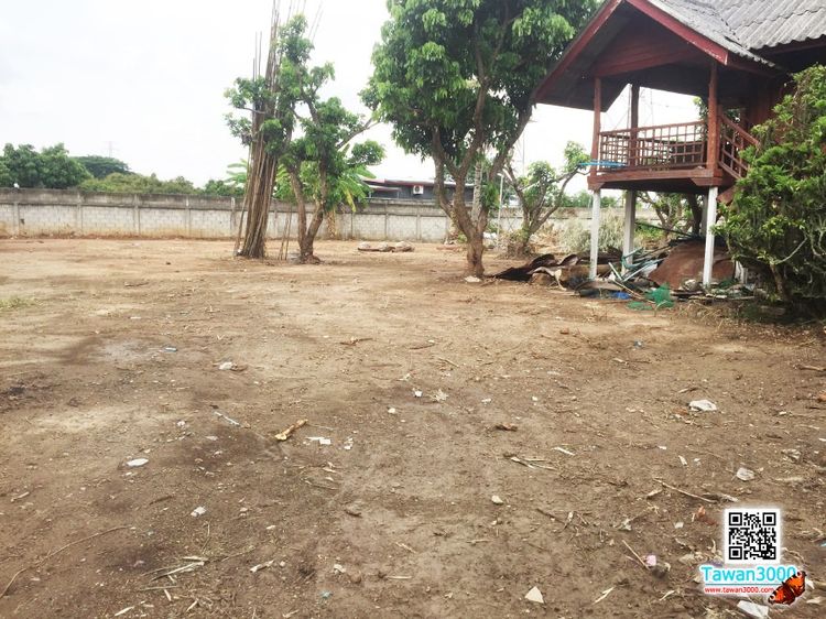 ขายที่ดิน 1ไร่ 29ตรว. พร้อมบ้านพัก น้ำ-ไฟพร้อม พร้อมโอน