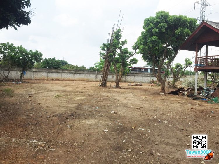 ขายที่ดิน 1ไร่ 29ตรว. พร้อมบ้านพัก น้ำ-ไฟพร้อม พร้อมโอน รูปที่ 4