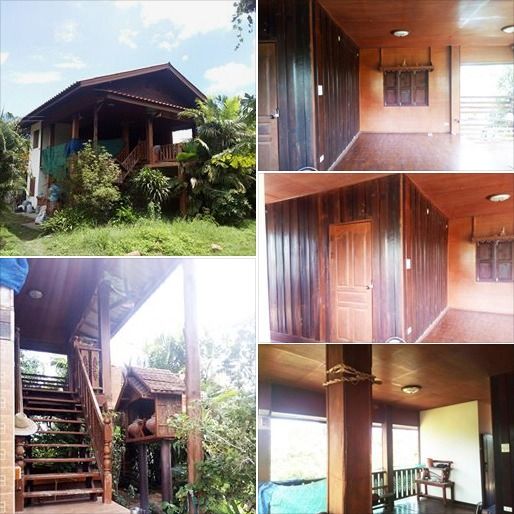 อื่นๆ (ตรว.ละ 10,000) ที่ดิน 4 ไร่ 62 ตรว. ที่สวย มีบ้านพัก สวนลำไย หลังติดกุลพันวิล9 ใกล้กาดฝรั่ง รูปที่ 4