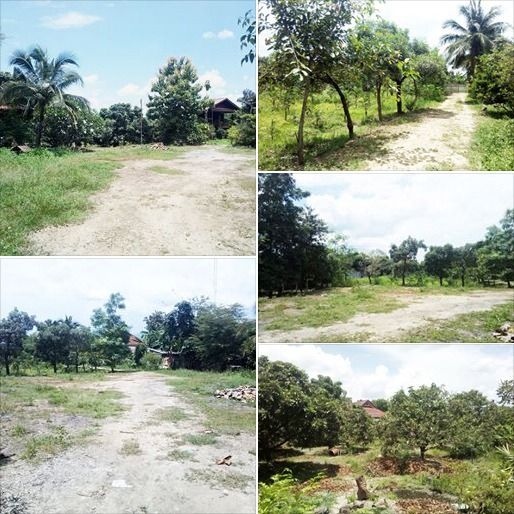 (ตรว.ละ 10,000) ที่ดิน 4 ไร่ 62 ตรว. ที่สวย มีบ้านพัก สวนลำไย หลังติดกุลพันวิล9 ใกล้กาดฝรั่ง รูปที่ 4