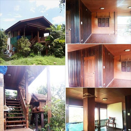 (ตรว.ละ 10,000) ที่ดิน 4 ไร่ 62 ตรว. ที่สวย มีบ้านพัก สวนลำไย หลังติดกุลพันวิล9 ใกล้กาดฝรั่ง รูปที่ 3