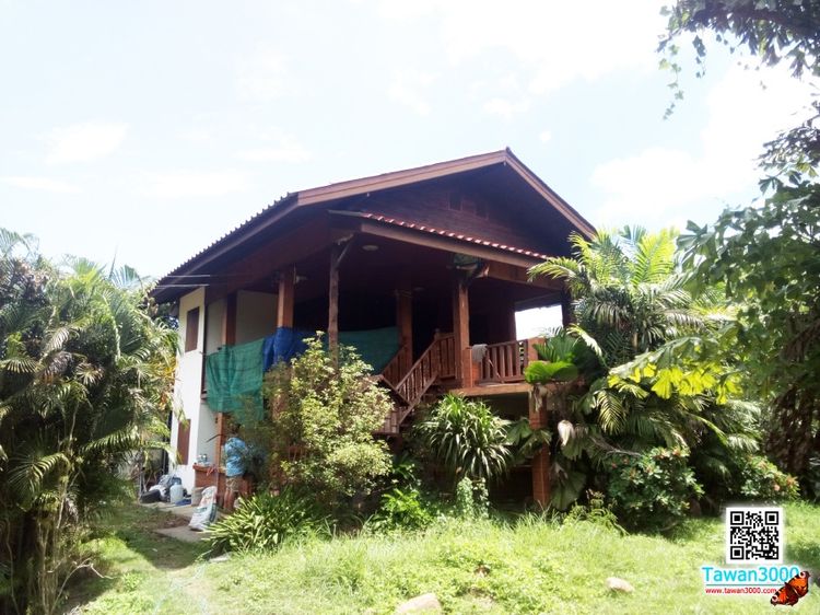 (ตรว.ละ 10,000) ที่ดิน 4 ไร่ 62 ตรว. ที่สวย มีบ้านพัก สวนลำไย หลังติดกุลพันวิล9 ใกล้กาดฝรั่ง