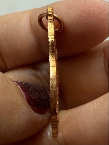 เหรียญหลวงพ่อคง วัดชำป่าง่าม ชุดกรรมการ รูปที่ 13