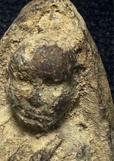 หลวงปู่ทวดปี 2497 พิมพ์ใหญ่หัวขีด ไหลจุดหรือพิมพ์ใหญ่ A เนื้อนิยม  สวยมากหน้าตาคมชัด สภาพเดิม ๆ         P 707 รูปที่ 2