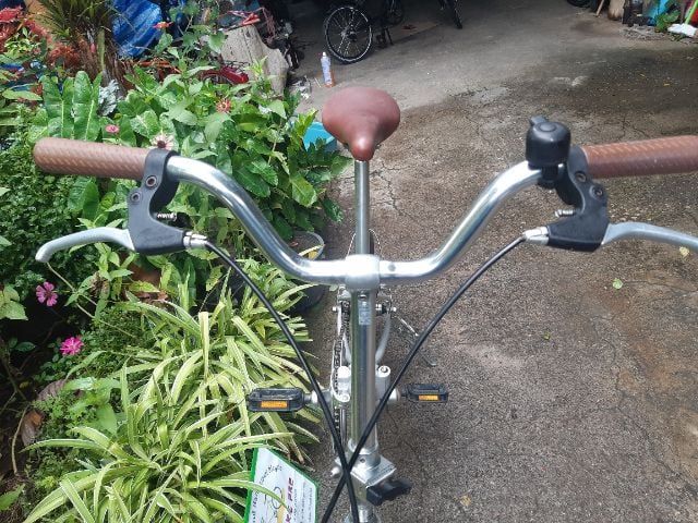 🏵️CAPTAIN STAG🏵️ รูปที่ 8