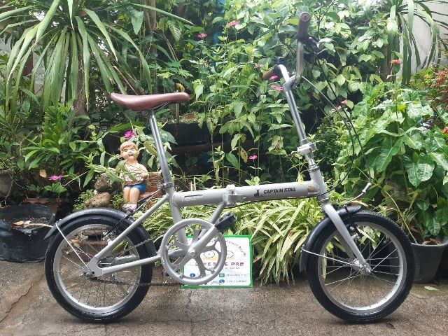 🏵️CAPTAIN STAG🏵️