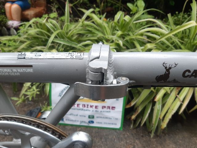 🏵️CAPTAIN STAG🏵️ รูปที่ 7