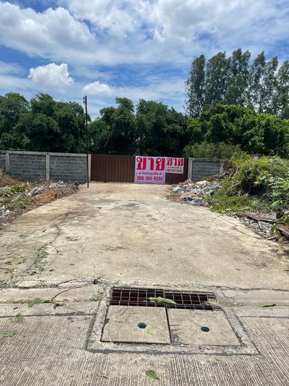 ขายที่ดินลำลูกการังสิตคลอง 4  ( ซอยไสวประชาราษฏร์ 13) เนื้อที่เกือบ 5 ไร่ ทำเลดีทำโครงการได้ขายตารางวาละ 25,000 บาท